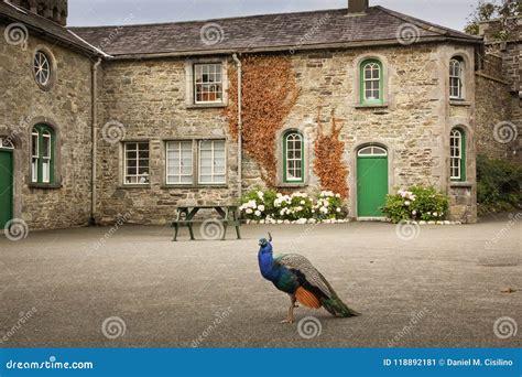 Johnstown Castle. County Wexford. Ireland. Stock Image - Image of building, elegant: 118892181