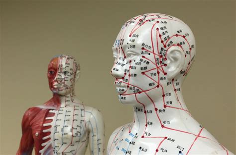 Biological Evidence of Meridians & Acupoints - G&L Acupuncture and Wellness Center