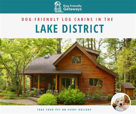 Dog Friendly Log Cabins in the Lake District: 15 Lodges