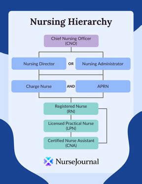 A Guide To The Nursing Hierarchy - NurseJournal.org