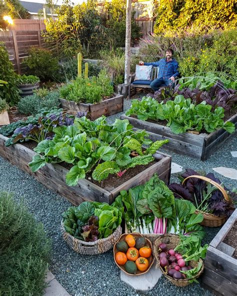 How to Start a Fall Garden: Best Fall Vegetables to Grow ~ Homestead ...