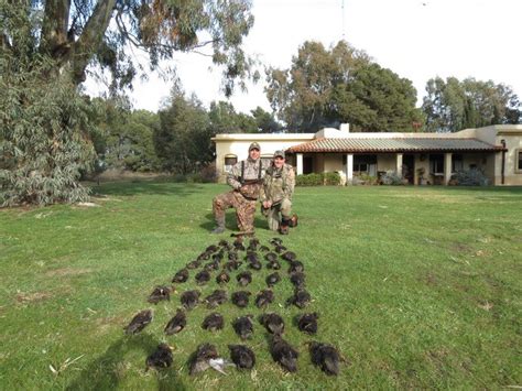 Duck Hunting Argentina - Gage Outdoor Expeditions