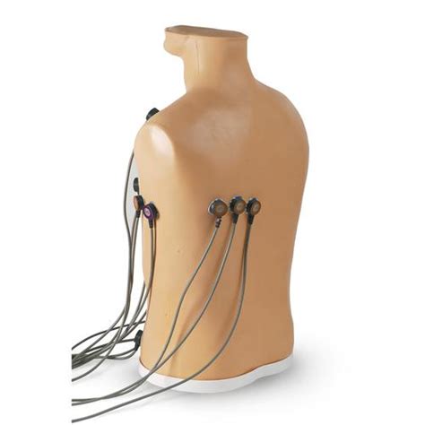 ECG Placement Trainer 15-Lead - 1018638 - Life/form - LF01300U - ALS Adult - 3B Scientific