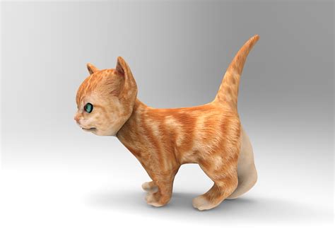 Cute cat animation 3D model - TurboSquid 1217230