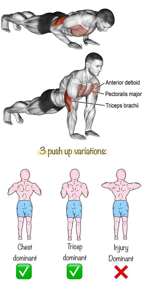 PUSH UP TIPS Push Up Workout, Workout Chart, Gym Workout Tips ...