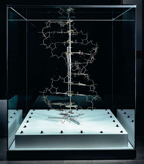 How DNA undermined Darwin | Photography | Agenda | Phaidon