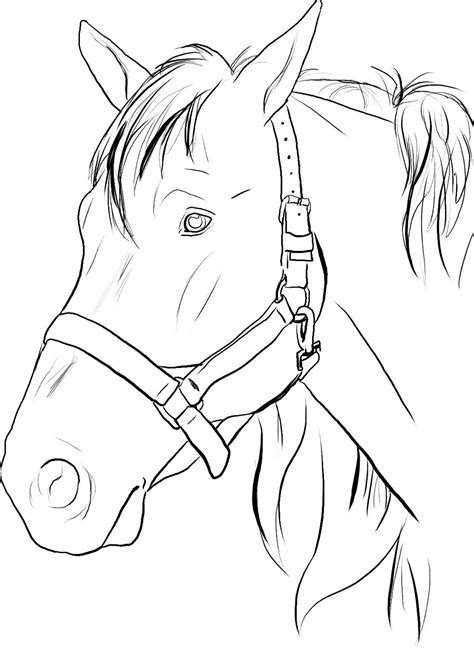 Imagem relacionada | Horse coloring pages, Horse coloring, Coloring pages