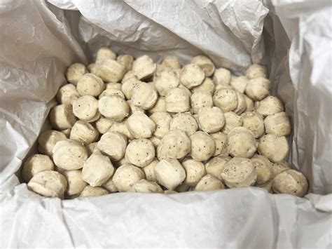 Suet To Go Balls - Insect Bulk (150 X 85g) 12.75kg Plastic - Vital Pet Group