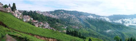 Darjeeling City Facts & Location