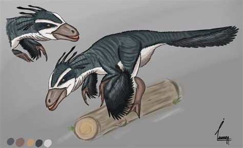 Troodon by ilhammmm1 on DeviantArt