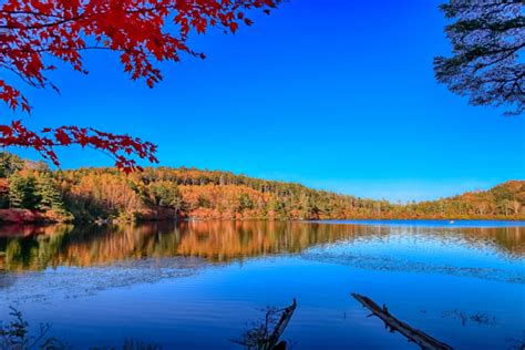 Hakuba Happo Pond | Destinations | ALPICO GROUP Official Website