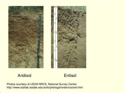 Soil classificatin