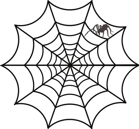 Pet Spider, Spider Web, Free Images, Stock Images Free, Ios Design ...