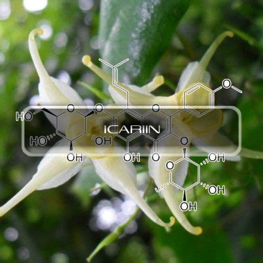 Icariin 1 | Interstellar Blends | Activate Your Super Powers!