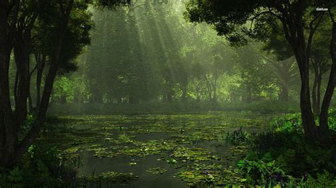 Swamp Wallpapers for Desktop (73+ images)