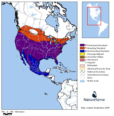 Americas Range Map - Cooper's Hawk | BirdPhotos.com