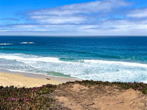 15 BEST Monterey Beaches (+ Map)! - Roadtripping California