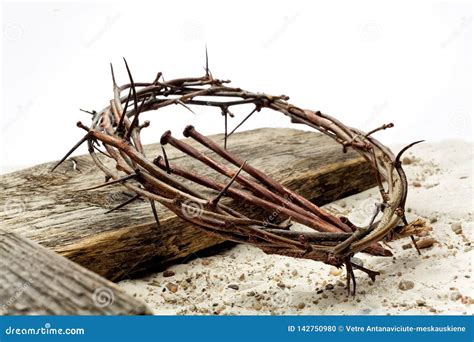 Crown-of-thorns Starfish, Damaging To Coral Reef Stock Photo ...