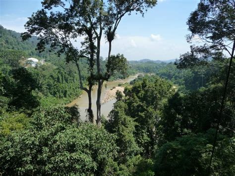 Taman Negara National Park (Pahang) - 2019 All You Need to Know BEFORE You Go (with Photos ...