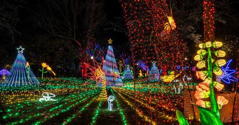 ZooLights at Lincoln Park Zoo opens today!