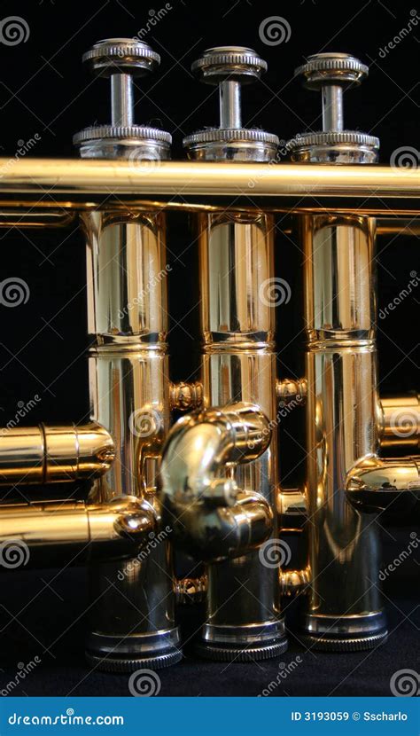 Trumpet Parts Royalty Free Stock Images - Image: 3193059