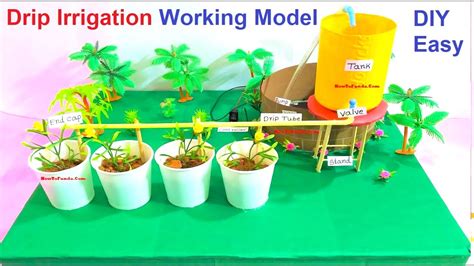 drip irrigation working model science fair project 3d | DIY howtofunda | innovative | inspire ...