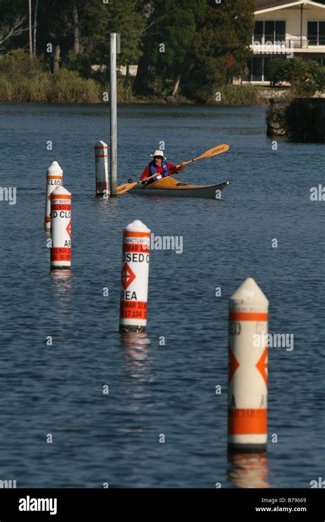 Kayak Manatee sanctuary buoy Crystal river florida Stock Photo - Alamy