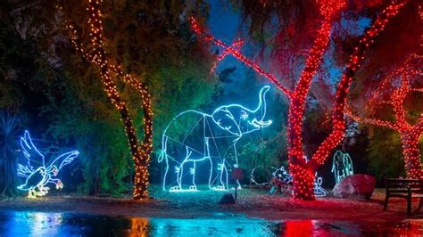 Phoenix ZooLights returns to Valley in November with drive-thru concept