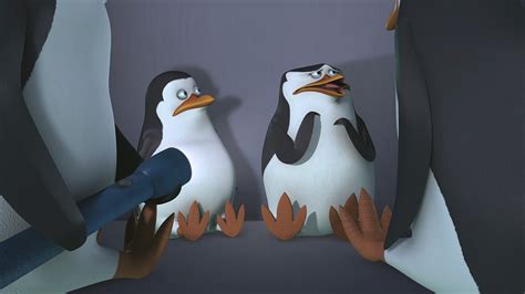 Watch The Penguins of Madagascar Season 1 Episode 10: The Penguins of Madagascar - Needle Point ...