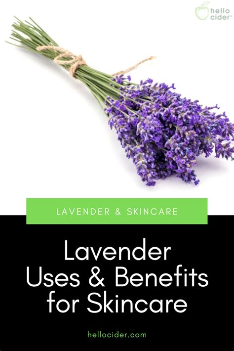 Lavender Uses and Benefits Besides its wonderful, soothing scent ...