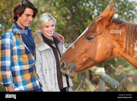 Meeting a horse Stock Photo - Alamy