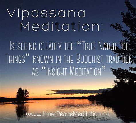 What is Vipassana Meditation? | Insight meditation, Vipassana ...