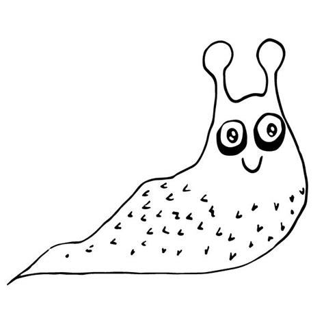 Slugs Drawing Stock Photos, Pictures & Royalty-Free Images - iStock