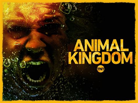 Prime Video: Animal Kingdom - Season 3 [OV]