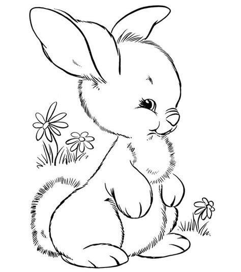 83+ Animal Colouring Pages Free Download & Print! | Free & Premium ...