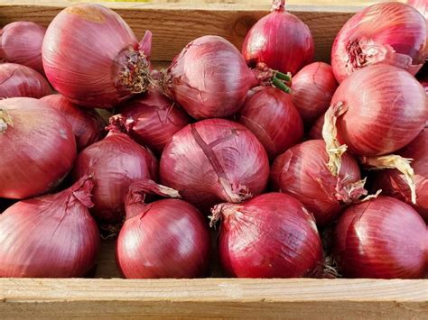 Red Onions 1 lb - 5G Farm