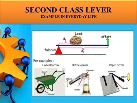 Lever and Its Types