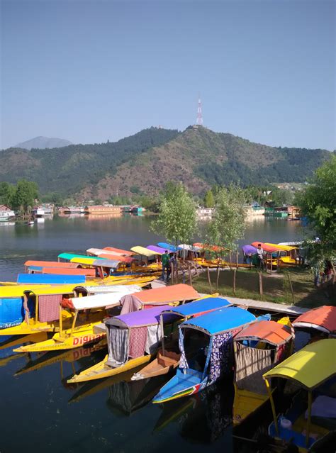 Sign Up for a Scenic Shikara Ride on the Dal Lake - live online tour from Srinagar