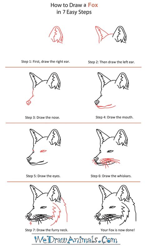 How To Draw A Fox Step By Step Realistic - You can also use this ...