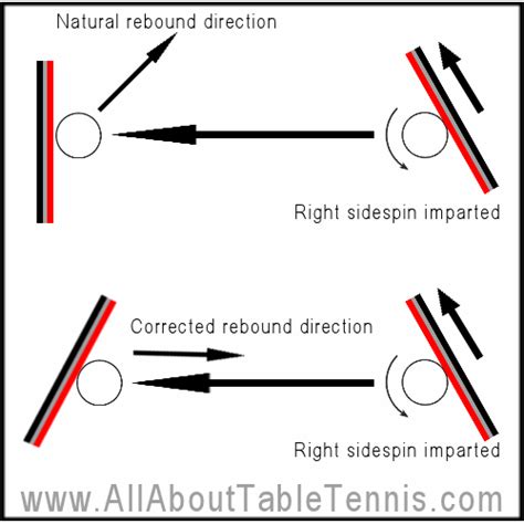 Table Tennis Techniques - Spin