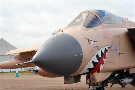 BYE BYE PINKY: THE FINAL FLIGHT OF RAF GULF WAR CELEBRATIVE TORNADO ...