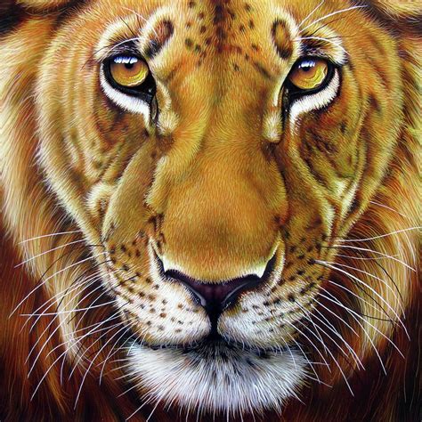 Lion Eyes Painting at PaintingValley.com | Explore collection of Lion ...