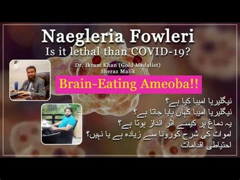 Naegleria | Symptoms | How it affects Brain | Prevention | - YouTube