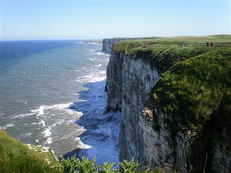 UFO expert who 'came face-to-face with an alien' as a child heads to Bempton Cliffs in pursuit ...