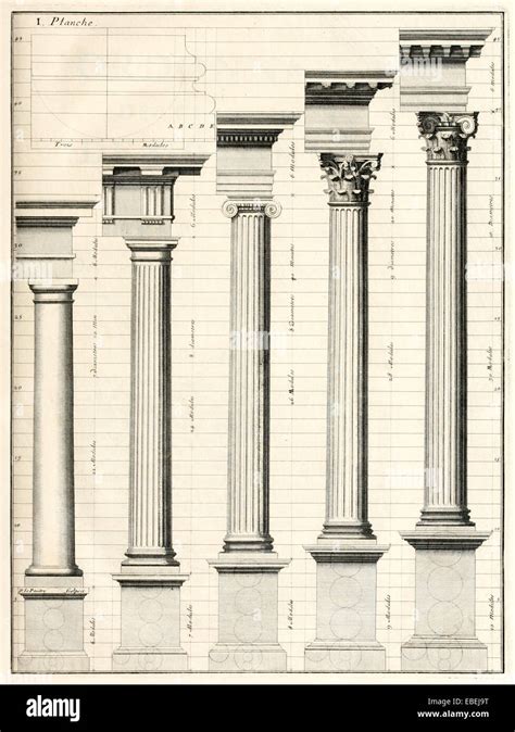 Classical order of columns by Claude Perrault, French Renaissance Stock ...