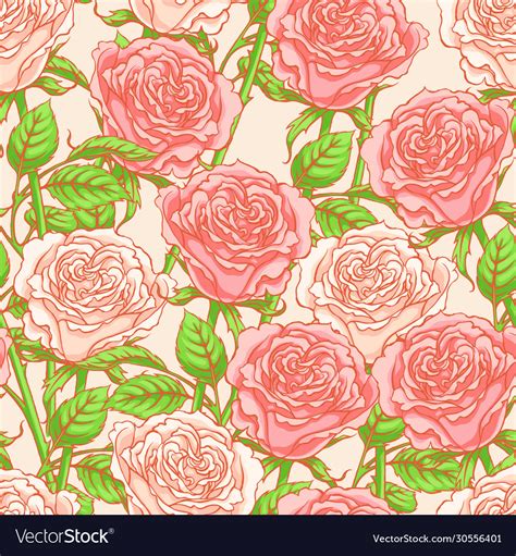 Pink roses Royalty Free Vector Image - VectorStock