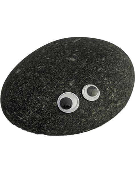 Rock With Googly Eyes