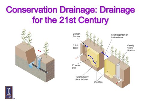 Drainage System Design and Layout