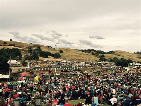 Calaveras County Fair 2024 - Devora Lauryn