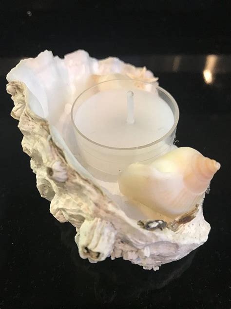 Oyster Shell Tea Light Candles - Made from oyster shells from the east ...